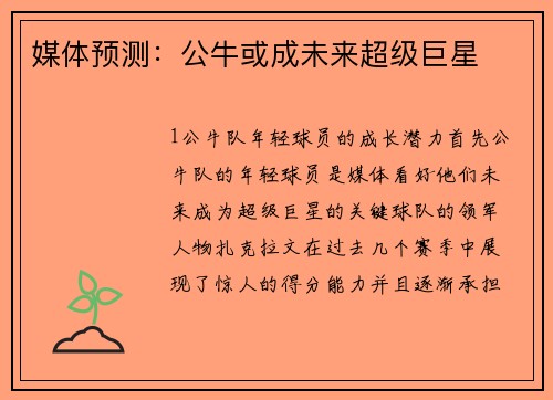 媒体预测：公牛或成未来超级巨星